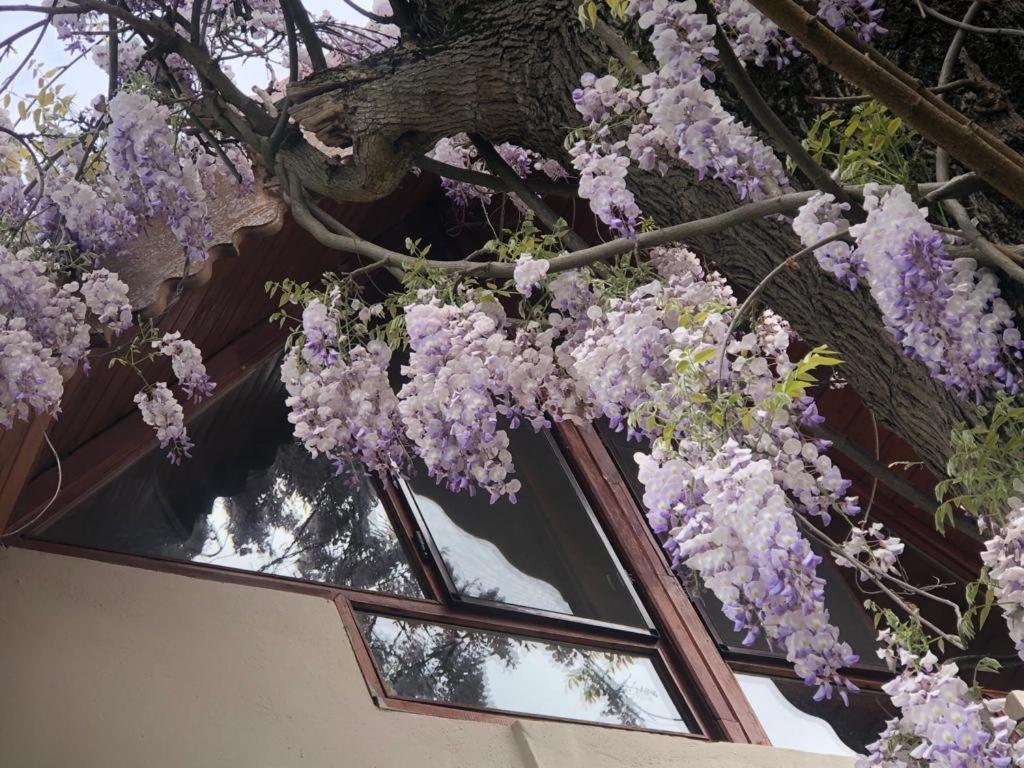 Eren Villa Сапанча Экстерьер фото