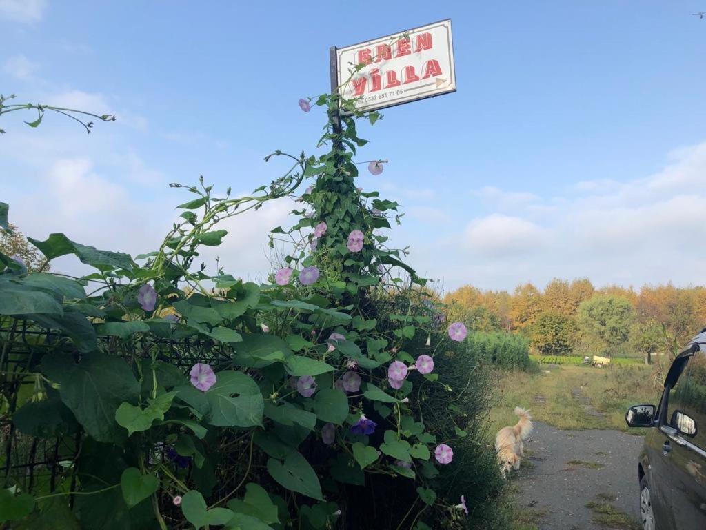 Eren Villa Сапанча Экстерьер фото