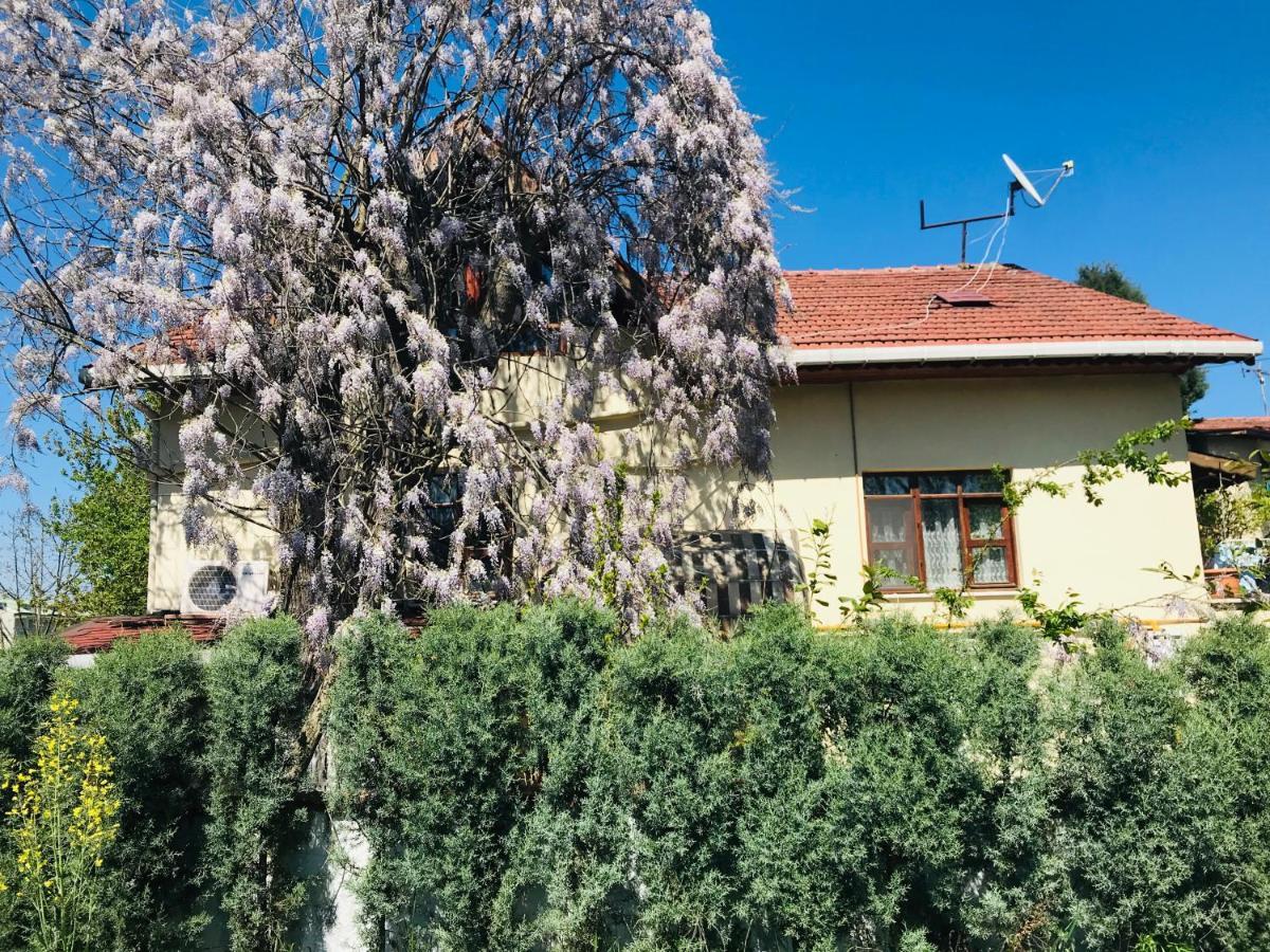 Eren Villa Сапанча Экстерьер фото